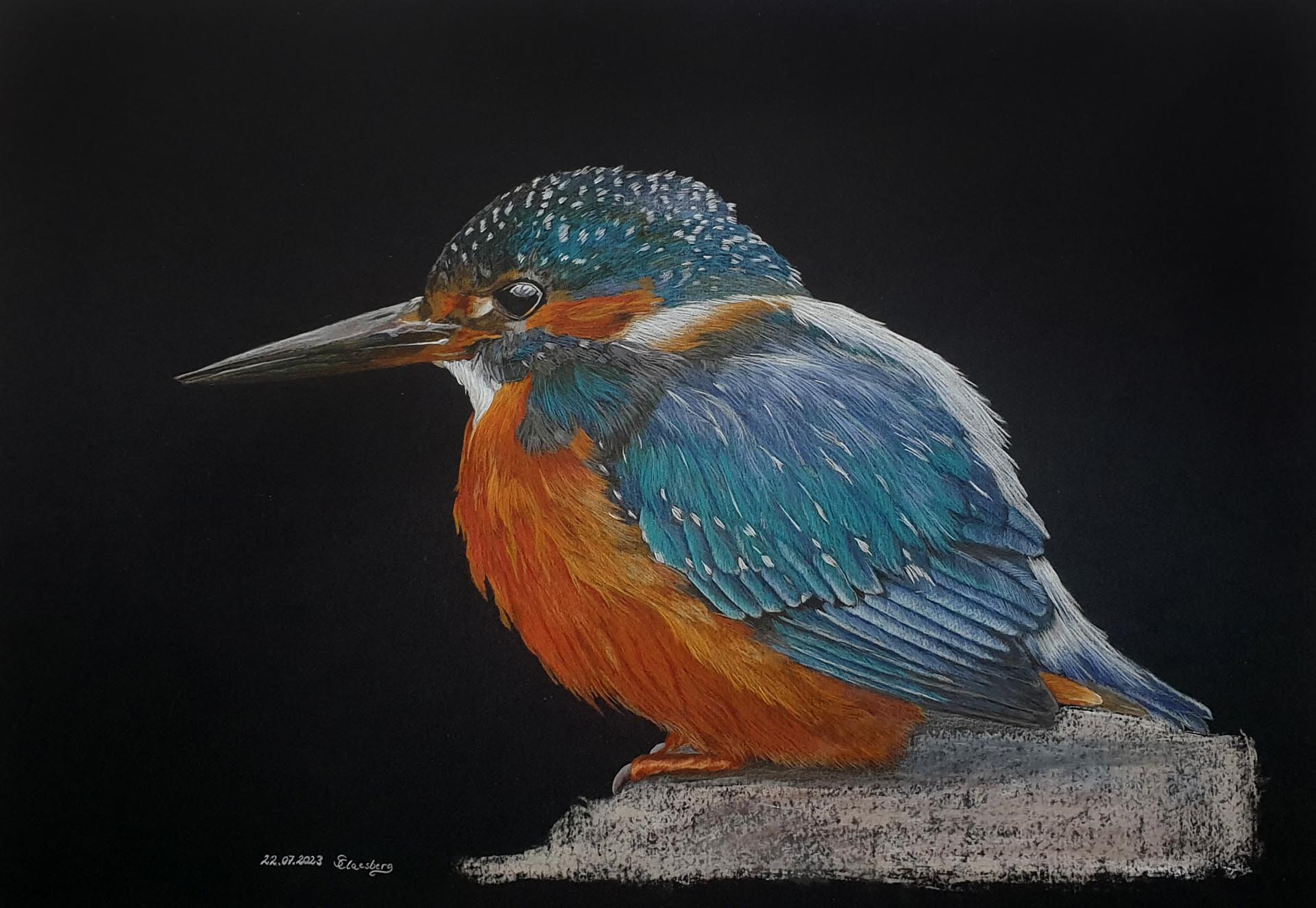 Eisvogel