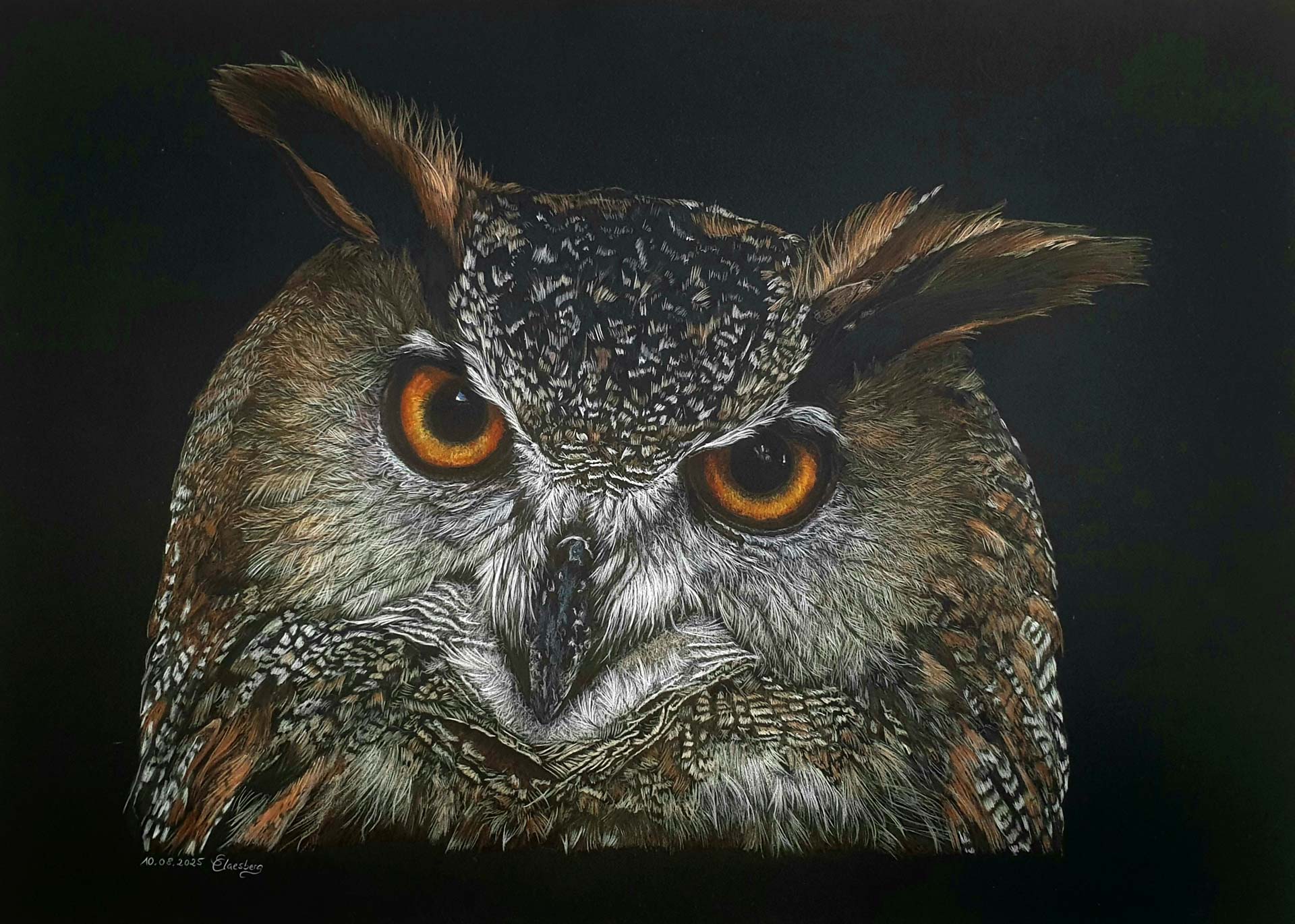 Portrait eines Uhus