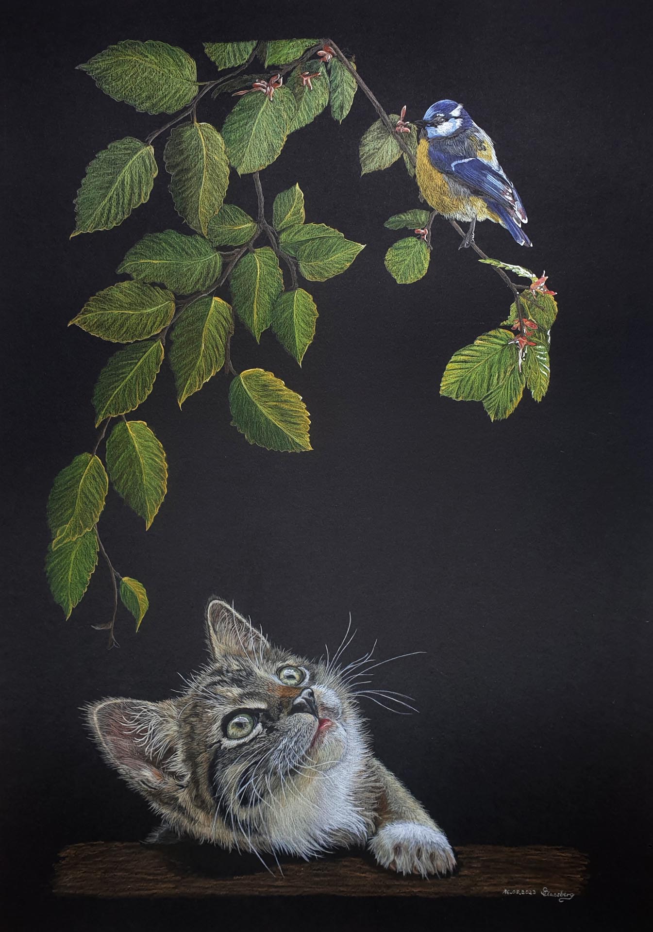 Katze beobachtet Blaumeise