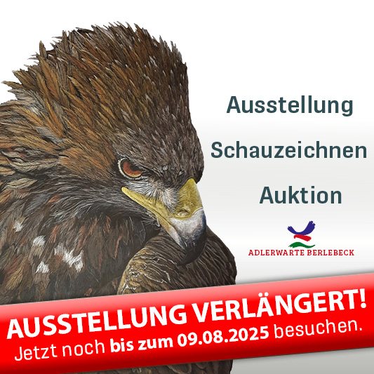 Plakat mit Ausstellungsterminen verlängert bis 9.8.25 mit Link zum Beitrag